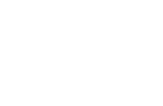 dinamica