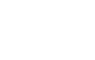 r-diniz-320x202